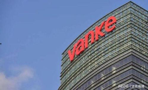 万科爆料最新消息视频,揭秘项目进展与未来规划